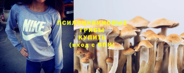 прущая мука Пролетарск