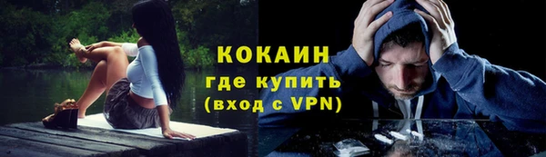 крисы Абаза