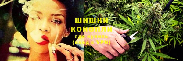 крисы Абаза