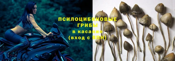мяу мяу мука Абинск
