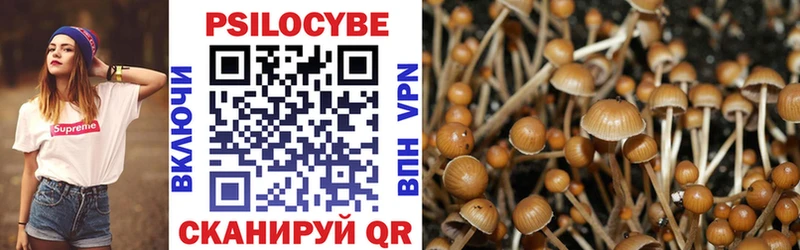 Псилоцибиновые грибы Psilocybe  где можно купить наркотик  omg как зайти  Карабаново 